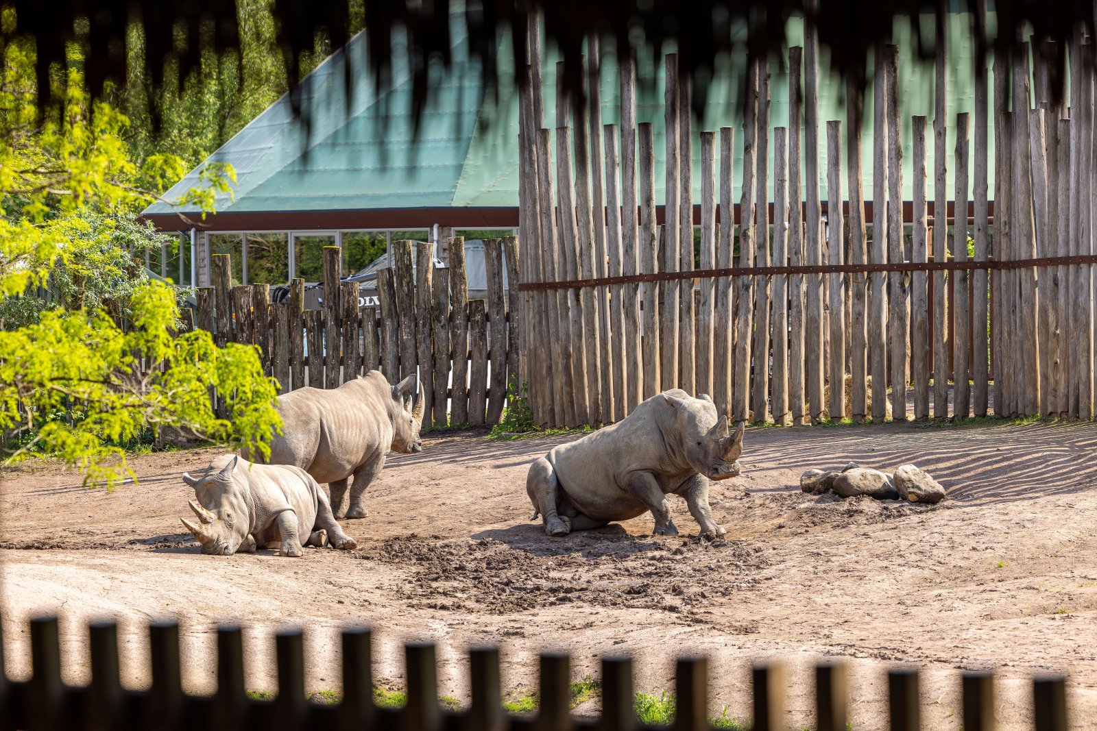 Zoo w Warszawie – idealne miejsce na rodzinny spacer 2 Zoo w Warszawie – idealne miejsce na rodzinny spacer