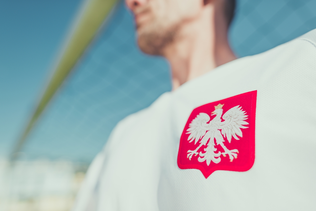 Zasady używania godła państwowego: prawo, etykieta i szacunek 7 Polish coat of arms